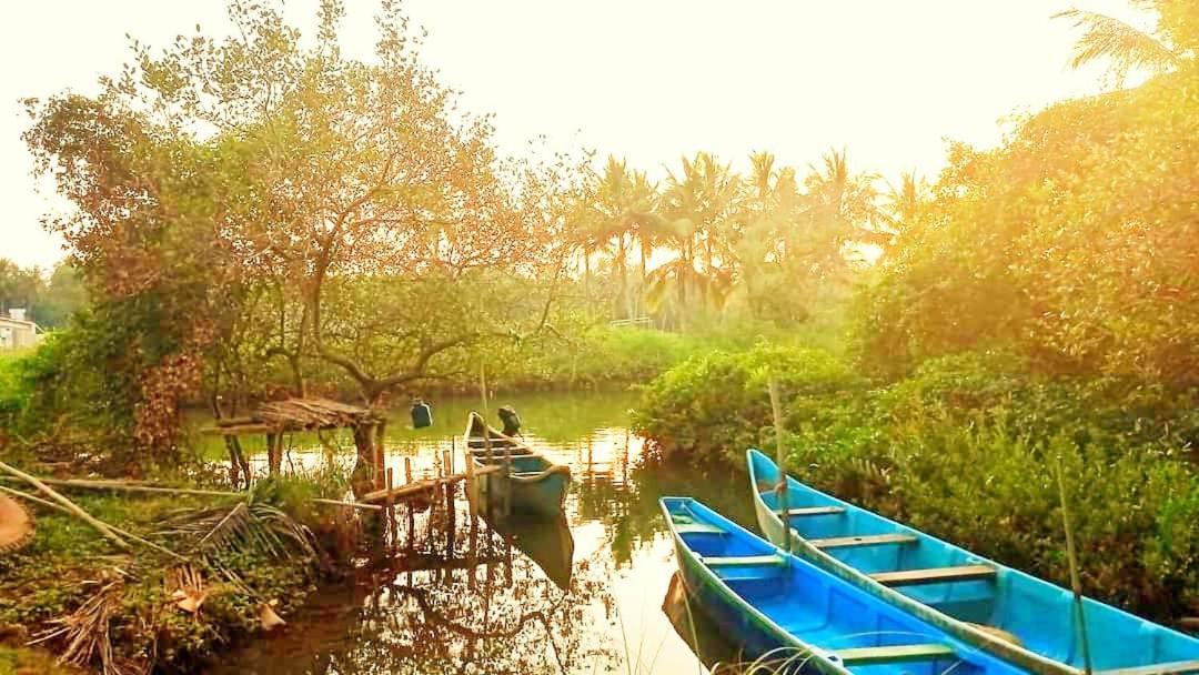 Shruthi'S Aarohi-Nature'S Retreat Mulappilangād Εξωτερικό φωτογραφία