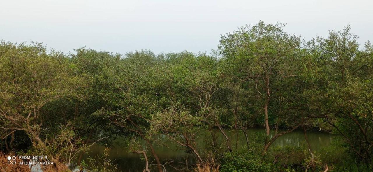 Shruthi'S Aarohi-Nature'S Retreat Mulappilangād Εξωτερικό φωτογραφία