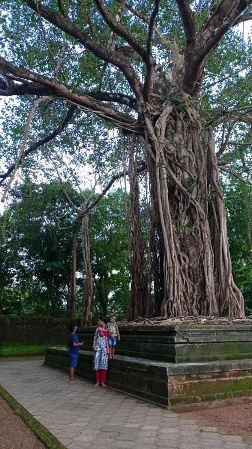 Shruthi'S Aarohi-Nature'S Retreat Mulappilangād Εξωτερικό φωτογραφία