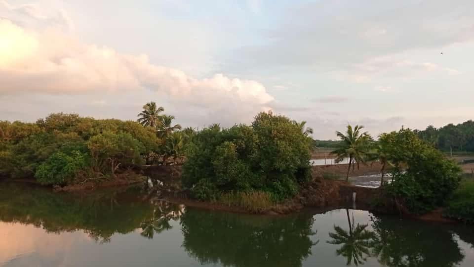 Shruthi'S Aarohi-Nature'S Retreat Mulappilangād Εξωτερικό φωτογραφία